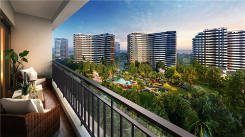 香多滋鲍汁焖鸡