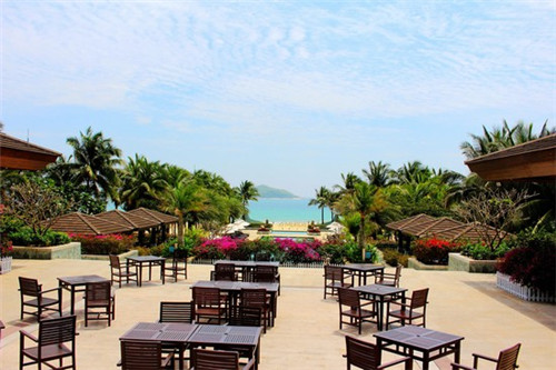 鱻鱼石养生鱼火锅