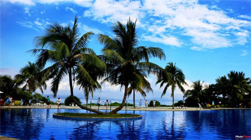 王记开心花甲粉