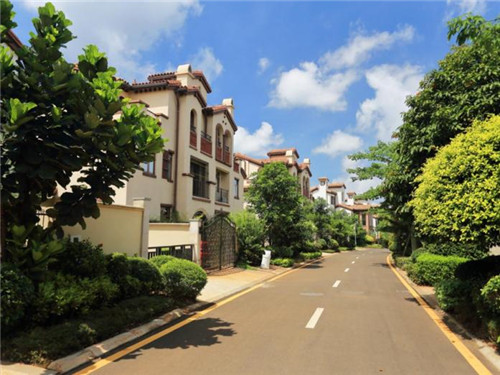 宠物用品店怎么开网店，网店创业宠物用品店怎么样