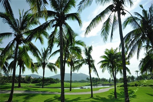 餐饮店怎么设计留客人信息，餐饮店怎么设计留客人