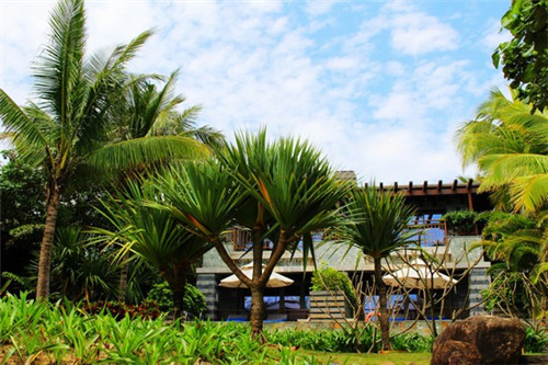 大尾巴猫鱼面知名度大吗