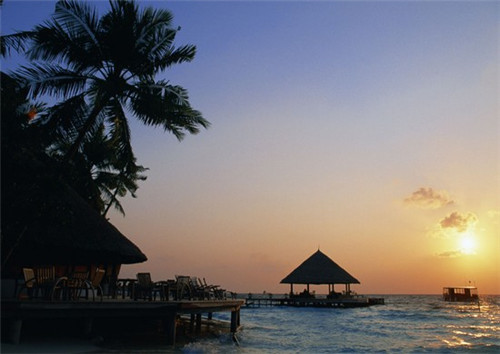 有什么好的黑米粉加盟品牌