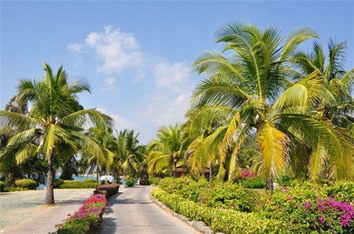 山裹是什么意思（山乞念什么是什么意思）