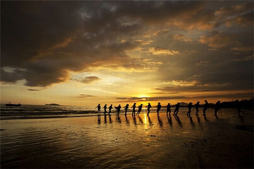 蓝紫色系洗发露（紫色洗发膏）