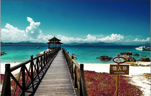 吴以环的丈夫（吴以环分工）