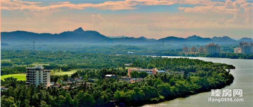 陈佬记手撕鸡购买（佬街佬味的手撕鸡做法）