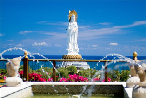 炒海带可以经常吃吗（炒海带可以经常吃吗有毒吗）