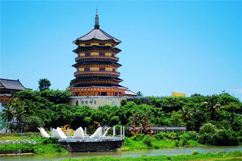 韦德队尚是什么意思（韦德之道队尚1）