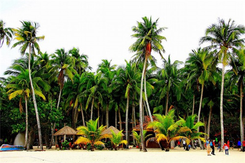 中国端游还有市场么（国内端游市场）