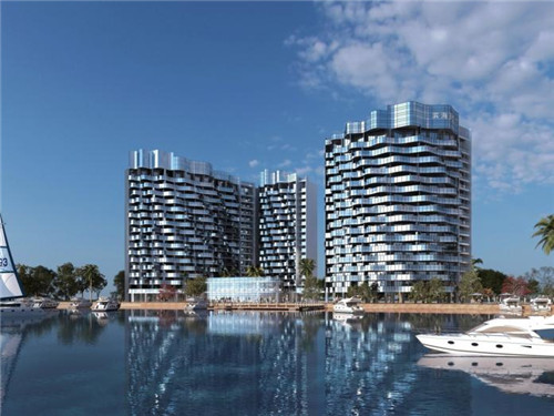 老年猫要怎么补充营养（老年猫补充营养吃什么）