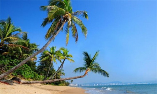 吴会杰三支一扶名单公示（吴会杰三支一扶名单公示最新）