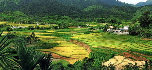 平顶山叶县都有什么景点（平顶山叶县周边旅游）